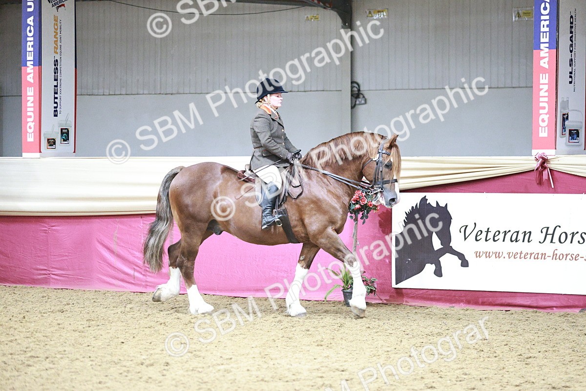 SBM_08734 - Class 12R - Regional Ridden Pre-Vet