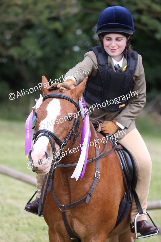 20260614-2165 - Class 21 - Novice Working Hunter Pony