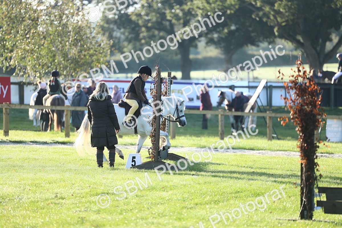 SBM_31795 - S28 - Nursery Stakes Working Hunter Pony