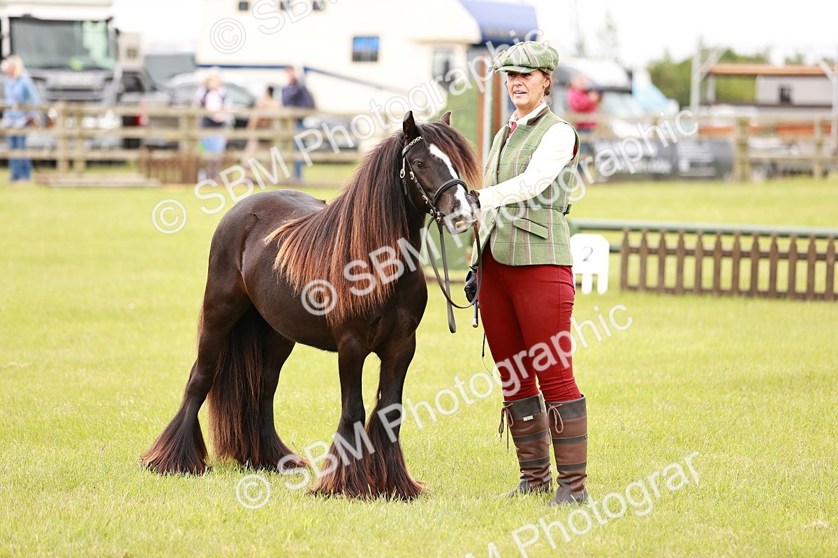 SBM_05998 - Class 39-41 TGCA In Hand and Ridden