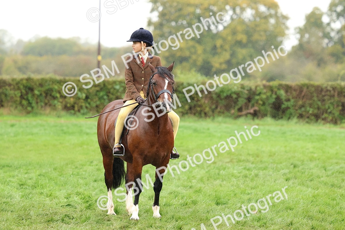 SBM_69711 - S62 - Mountain & Moorland Ridden Large Breeds