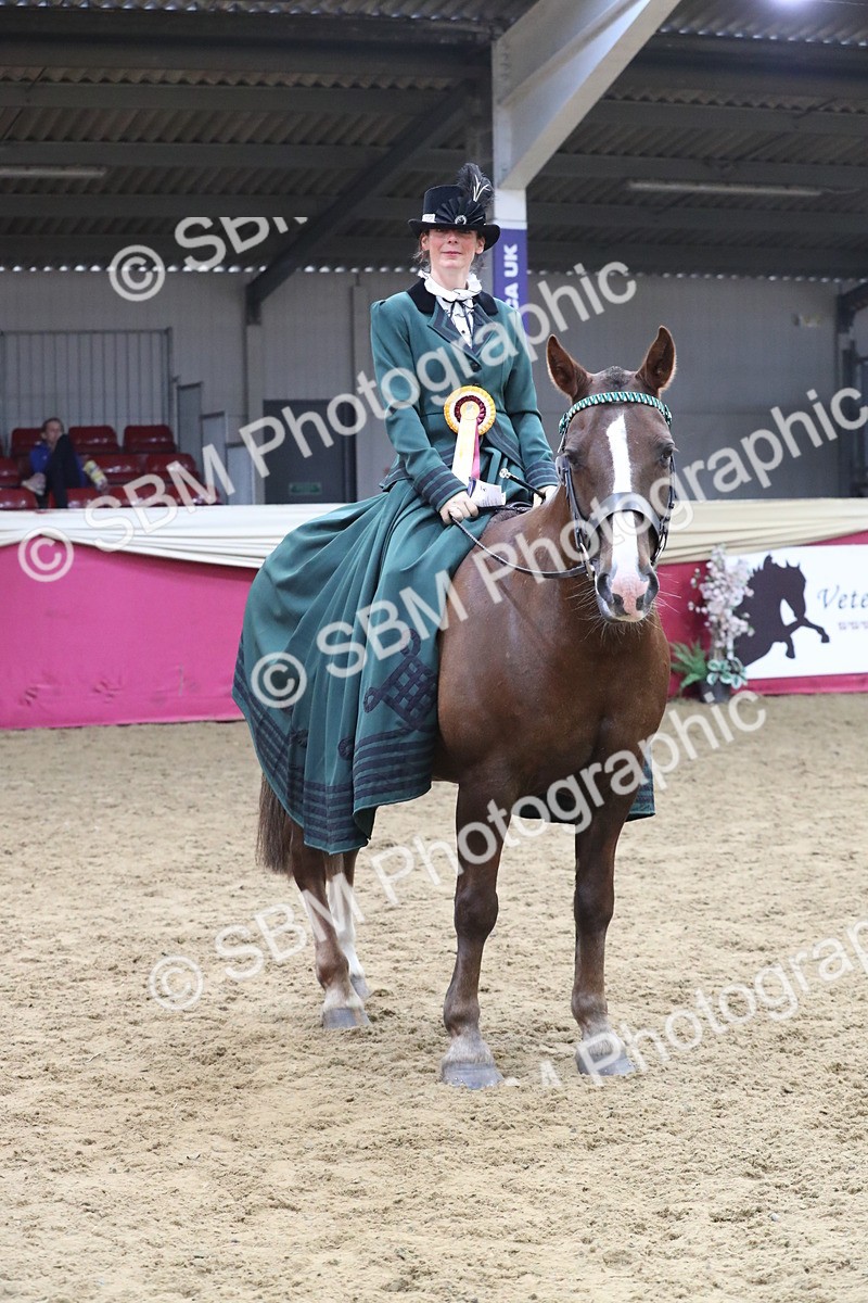 SBM_12195 - Class 107 Ridden Costume- Astride Adult (20+)