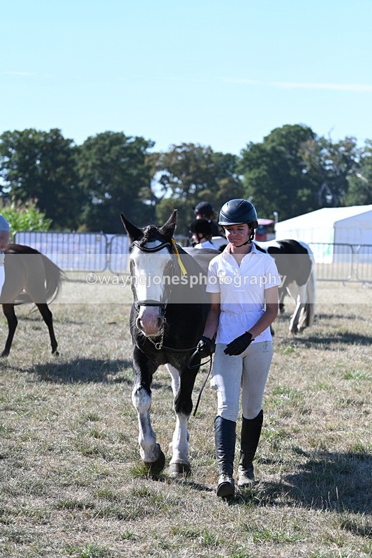 WJ7_1962 - Class 43 Best Six Legs (In hand)