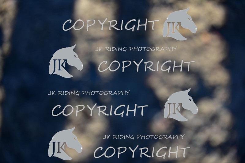 SBP_1143 - 10am - 11am