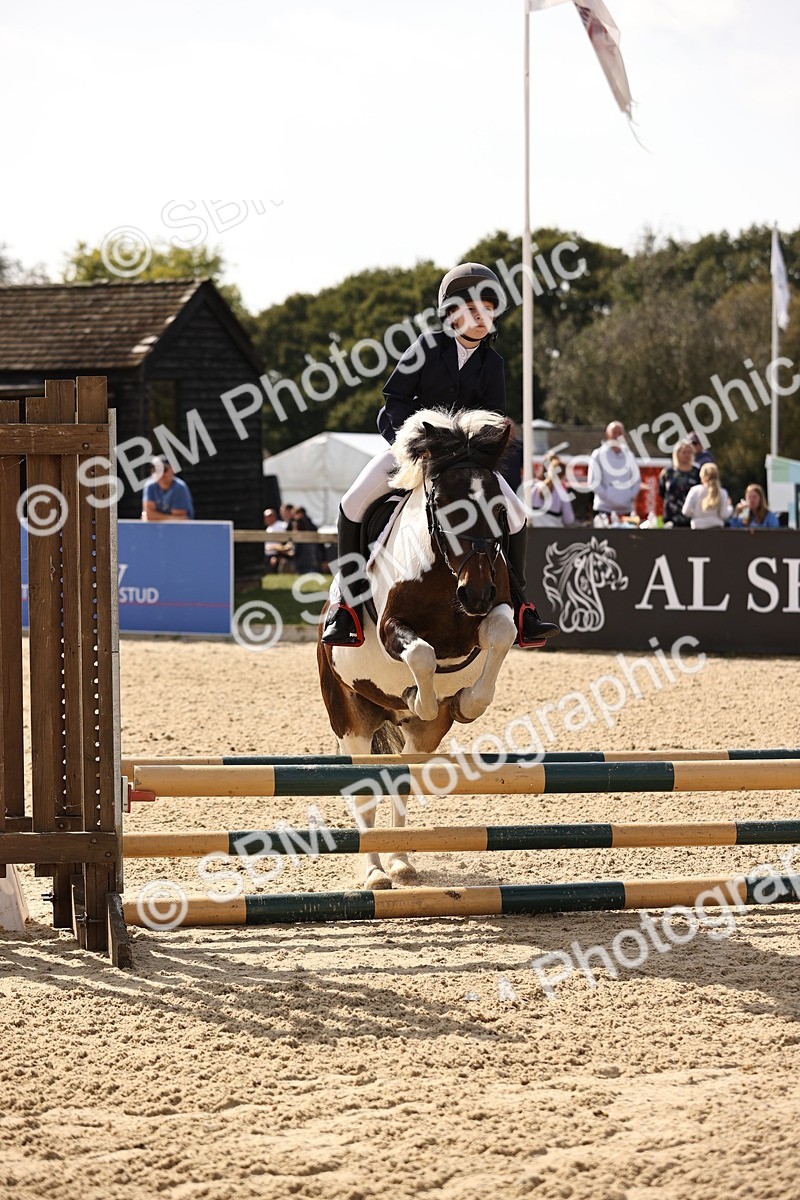 SBM_66908 - J13 - Junior Pony 60cm Championship