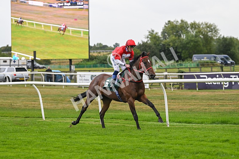 270825-Race 2-Rogue Attraction-4857 - Race 2