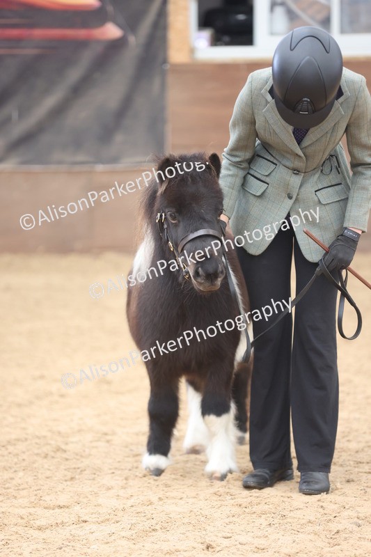 20251109-0251 - Class 11 - 2 and 3 Year Old