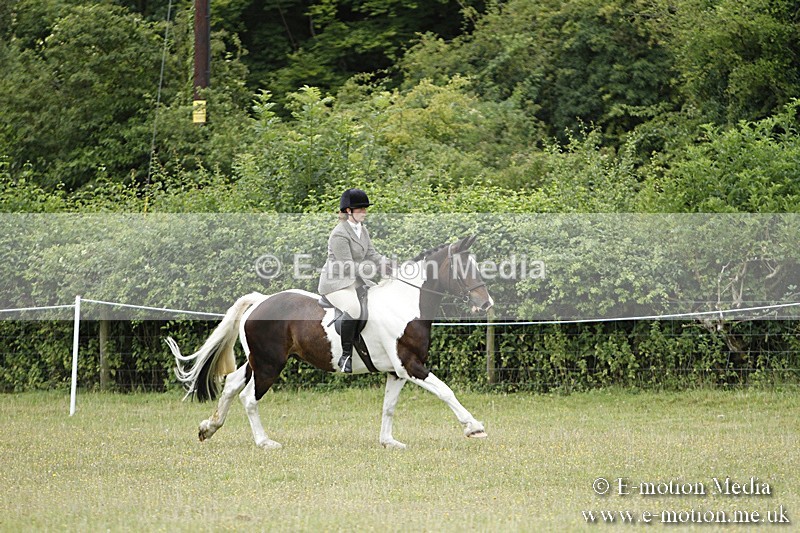 BVR160717-114 - Ring 3 BVRC Show 16/07/17