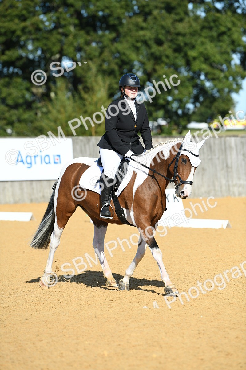 SBM_17902 - D4 - Small Tour Championship - Intro B