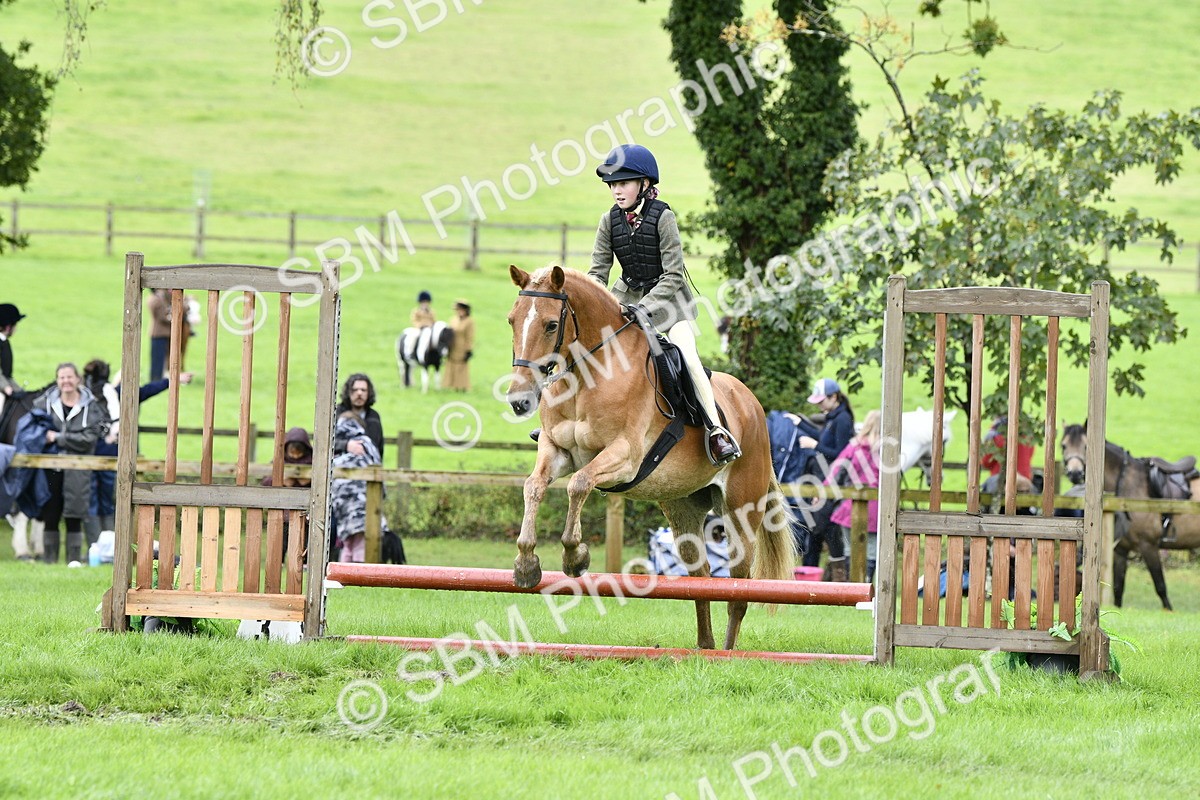 SBM_41478 - S32 - Mountain & Moorland Working Hunter Pony