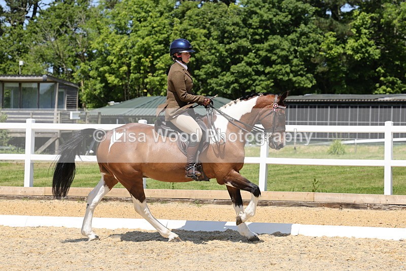 1X9A1842 - Class 12: Ridden Riding Horse/Hack