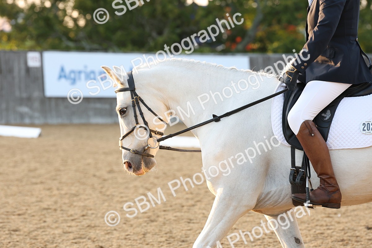 SBM_13638 - D9 - Small Tour Championship Prelim 3