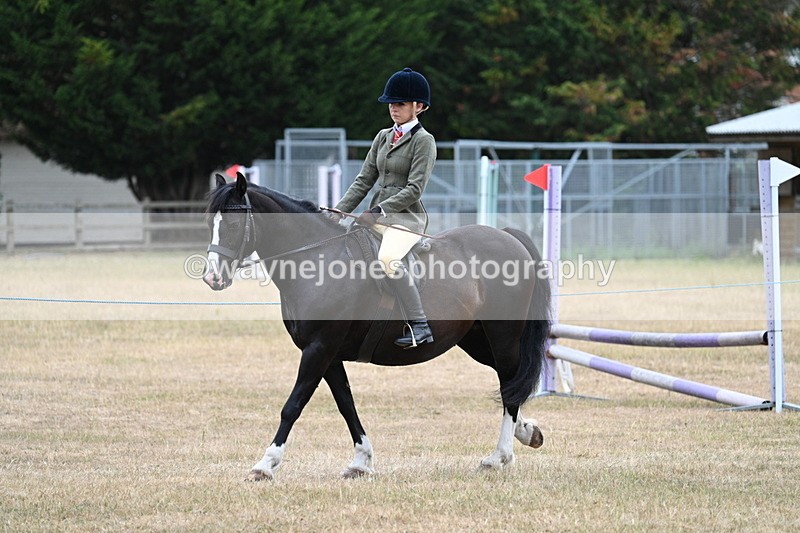 WJ7_0265 - Class 6 Ridden Mountain and Moorland