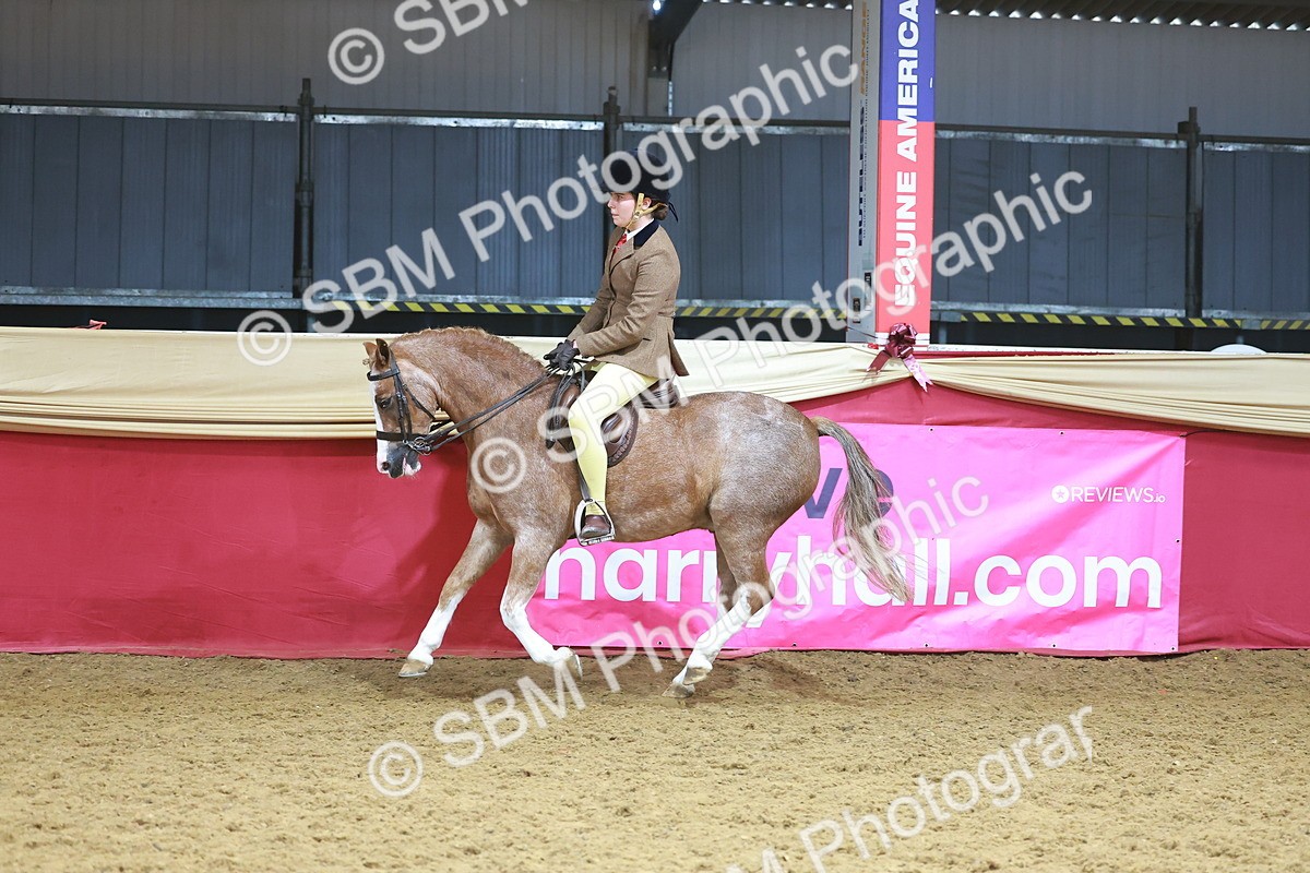 SBM_12490 - Class 103 - HOYS Veteran Qualifier - Ridden Pre Vet