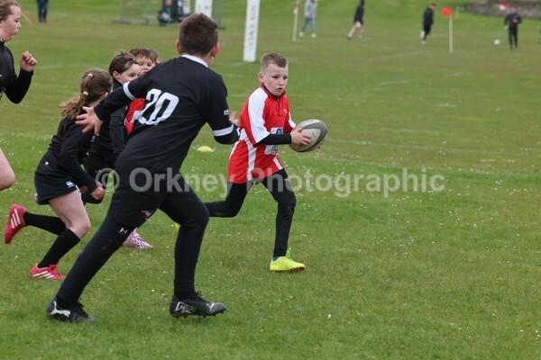 DAD22372 - Rookies/Mini Rugby on 7s Day