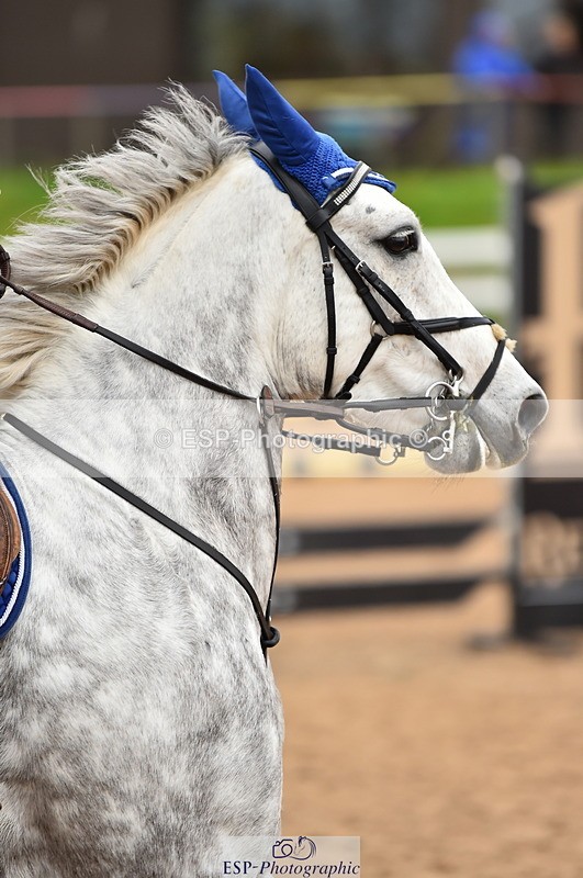 231028A-131706-01653 - Cls 4 Newcomers & 1m Open