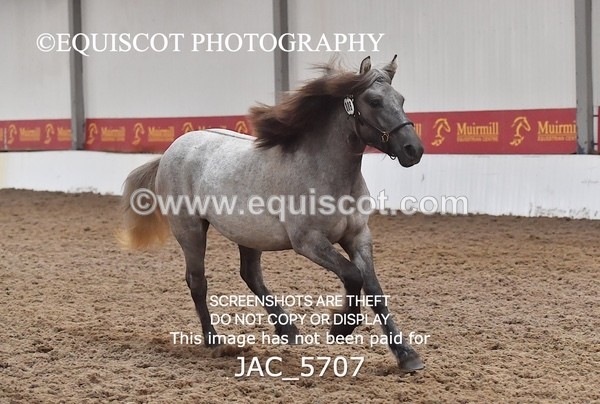 JAC_5707 - 6 Glenmuir Niamh