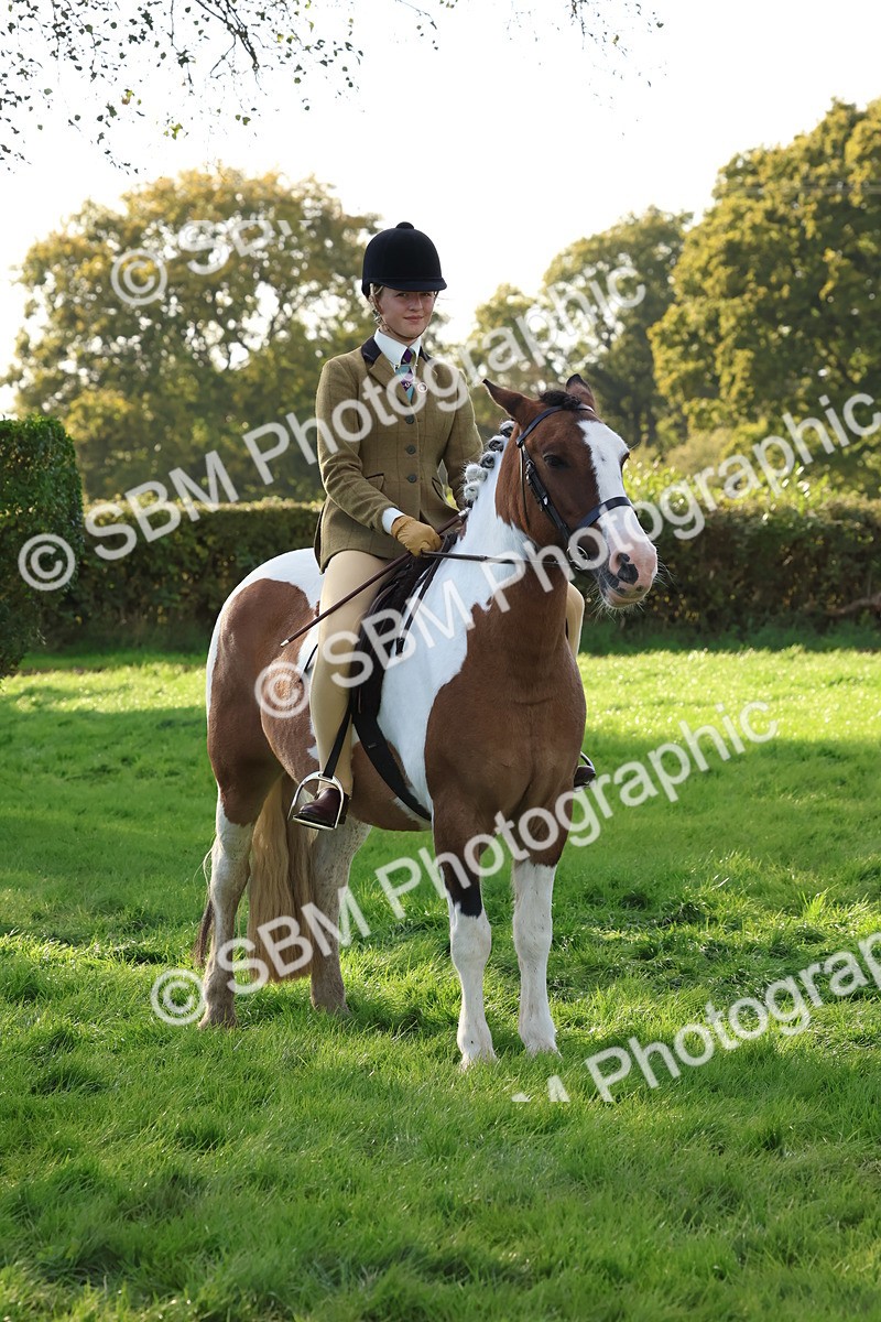 SBM_52614 - S13 - Pony Club Pony