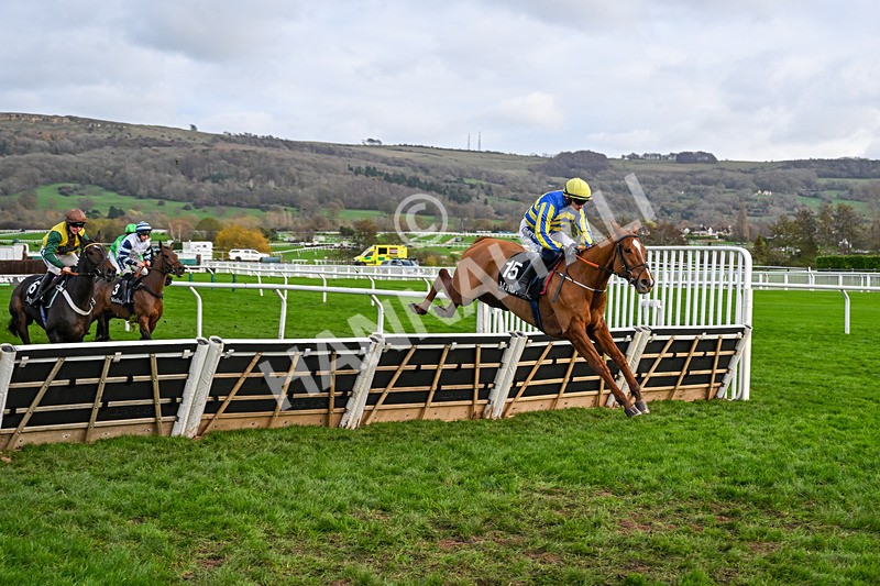 161125-Race 1-Astelia-5566 - Race 1