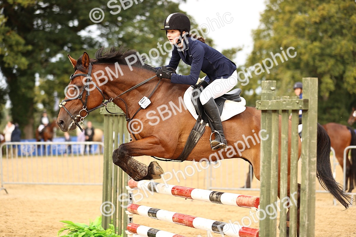 SBM_58201 - J41 - Grand Tour Horse & Pony 95cm