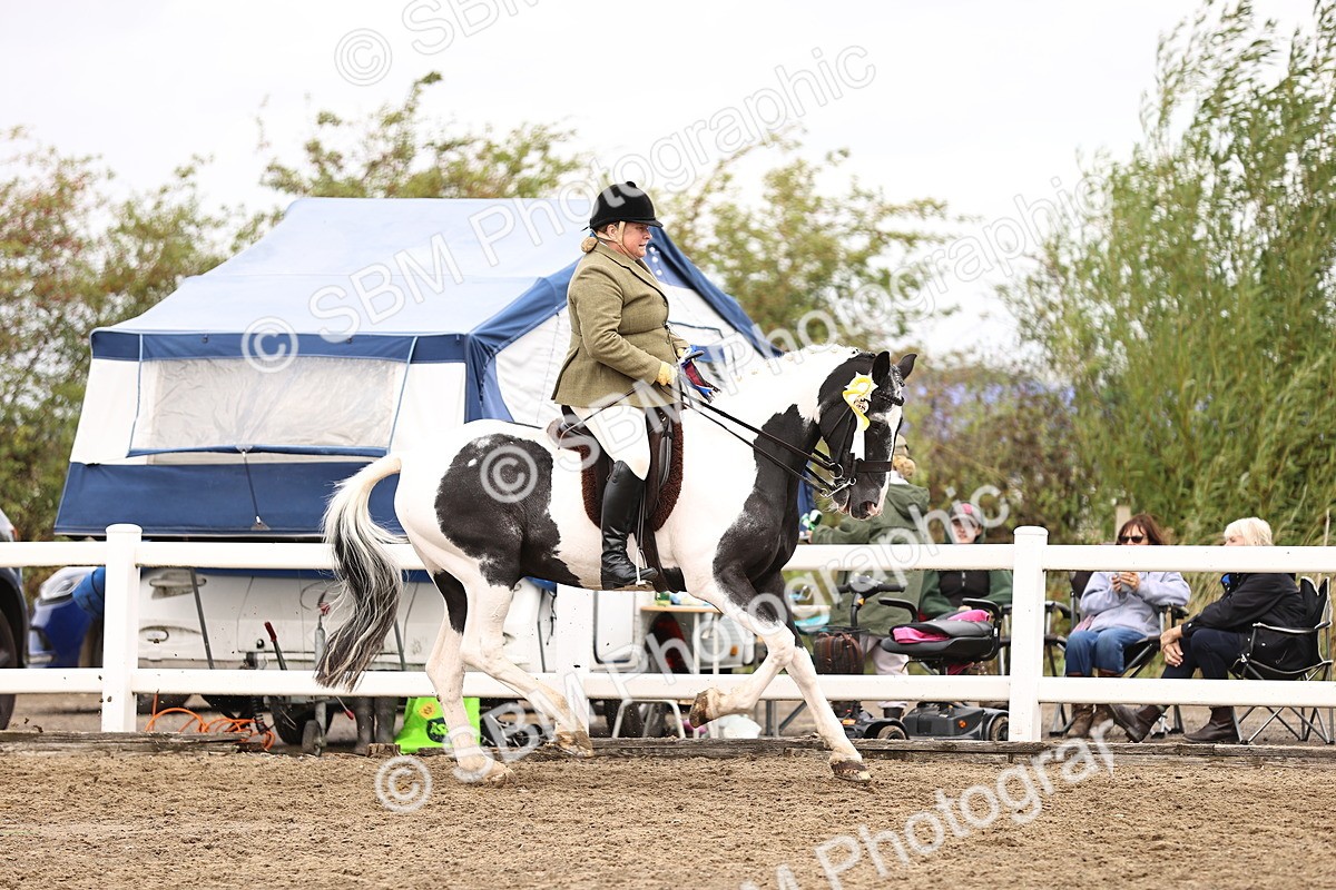 SBM_01458 - Class 54 - Riding Club Horse Pony