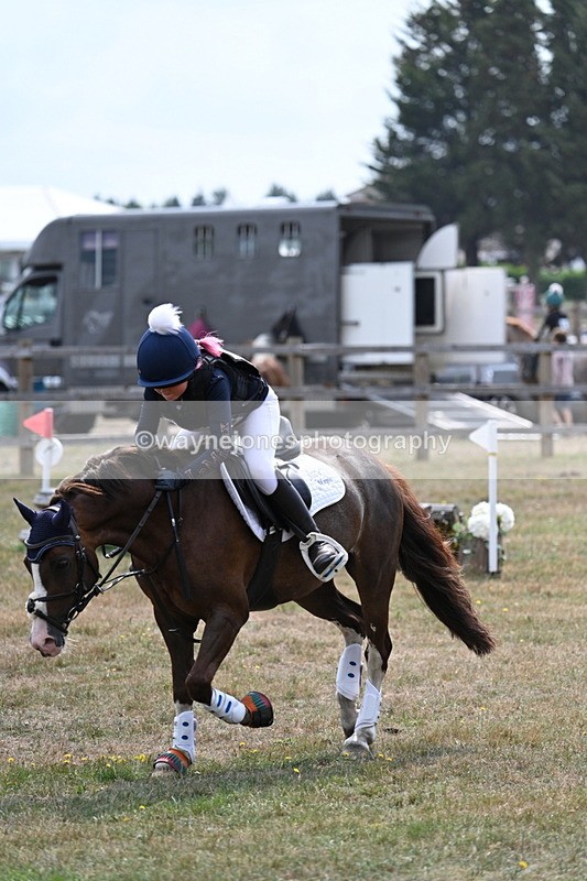 WJ7_1314 - XC Time 11:41 to 11:54