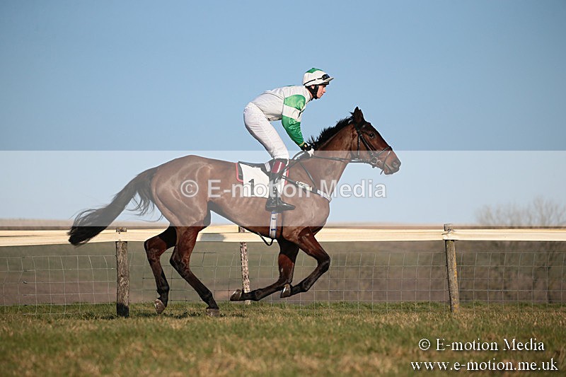 PtP 230219 495 - Vine & Craven Point-To-Point - Barbury 23/02/19