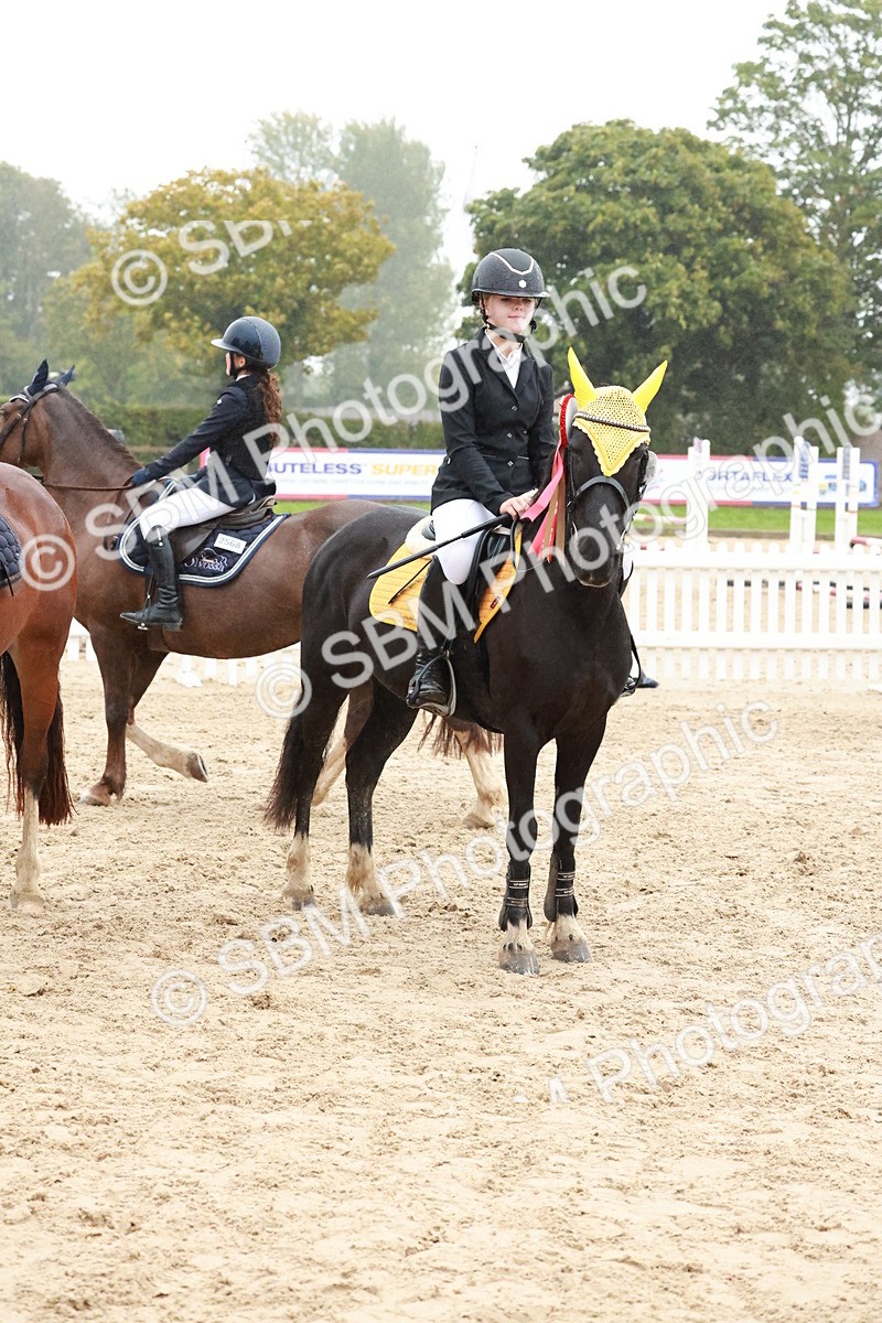 SBM_73605 - Supreme Championship Junior Pony 60cm & 65cm