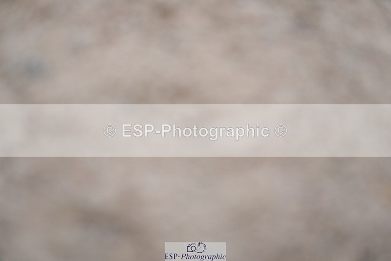 250308-133046-02203 - Cls 10 Pony Foxhunter and 1.10m