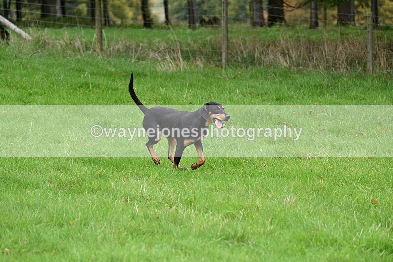 WJ7_4380 - Camera 1 Line 3