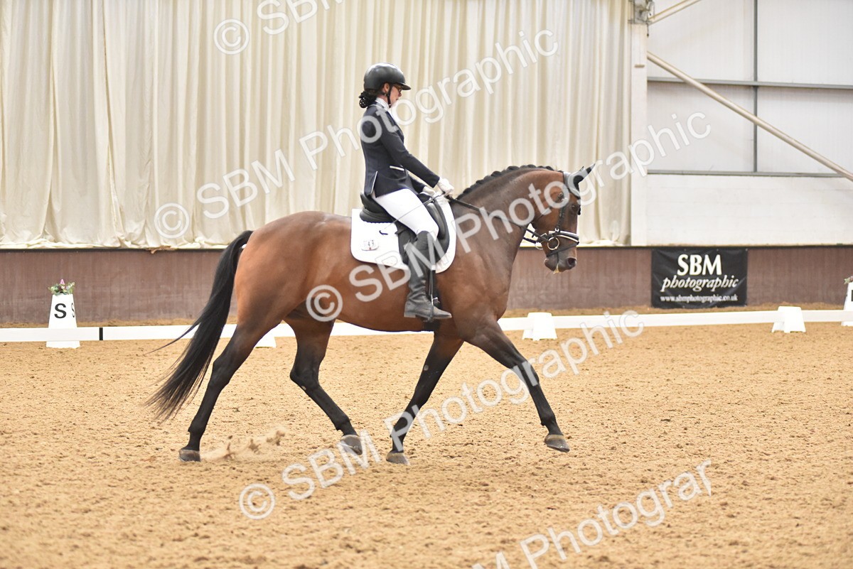 SBM_010990 - Class 8 - Novice 5