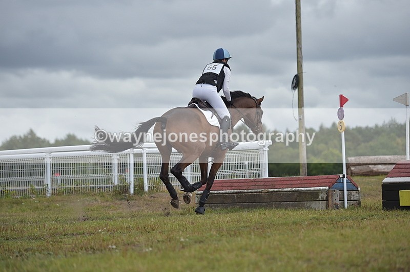 NGP_2871 - XC Time 11:37 to 11:57