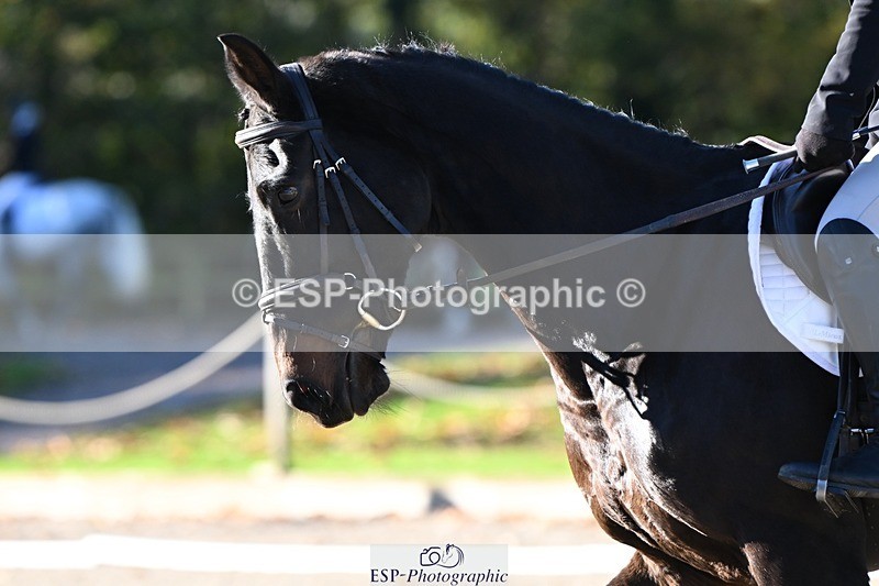 231110-101040-00019 - Cls 2 Prelim 17(a)Q