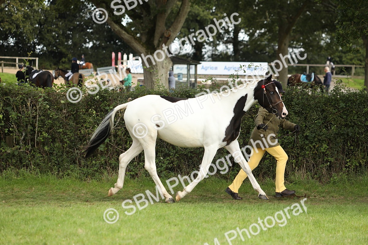 SBM_68545 - S40 - Junior Handler 9-12 Years