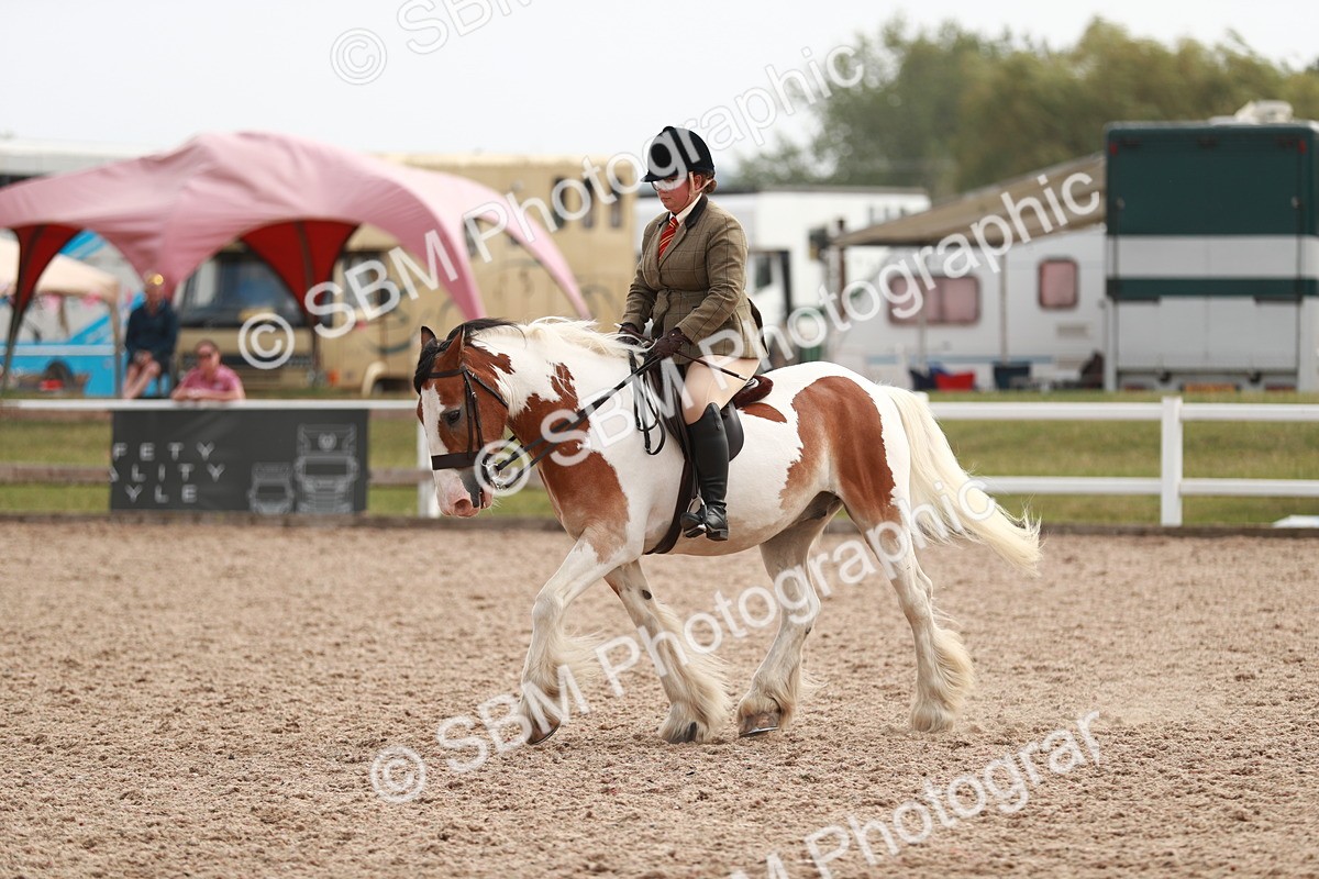 SBM_16801 - Class 214 Ridden Cob