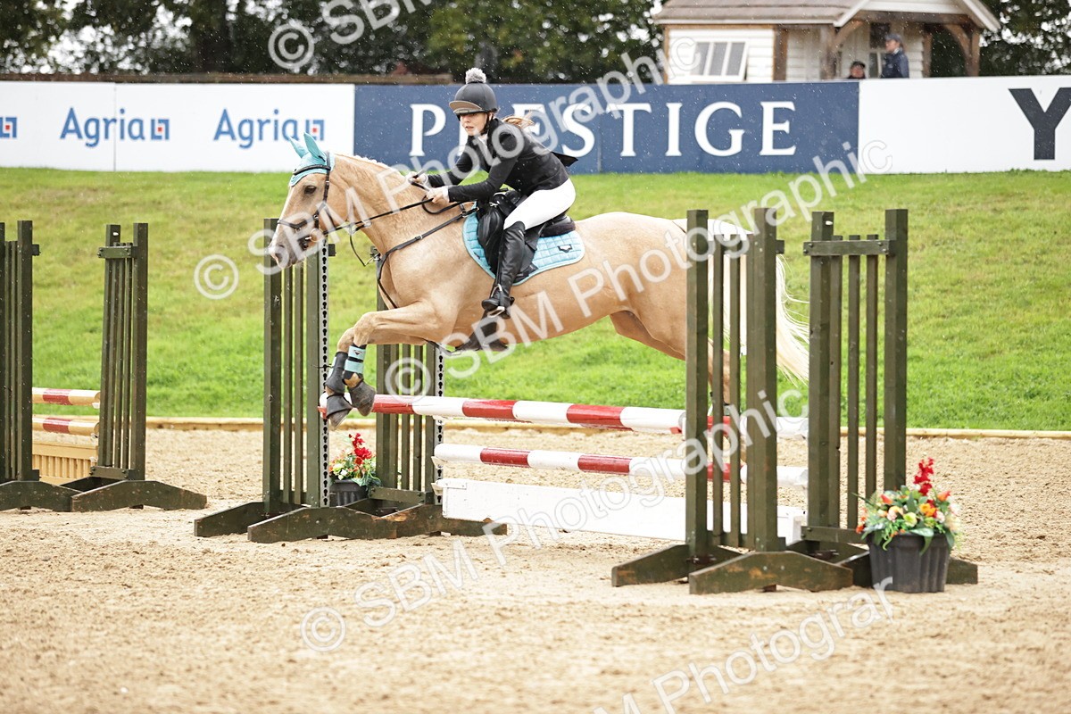 SBM_35860 - J38 - Senior Horse & Pony 80cm Championship
