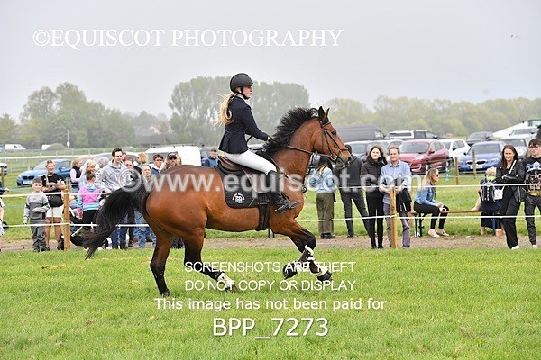 BPP_7273 - CLASS 4 B&C Champ Qual (1.25m - 1.30m)