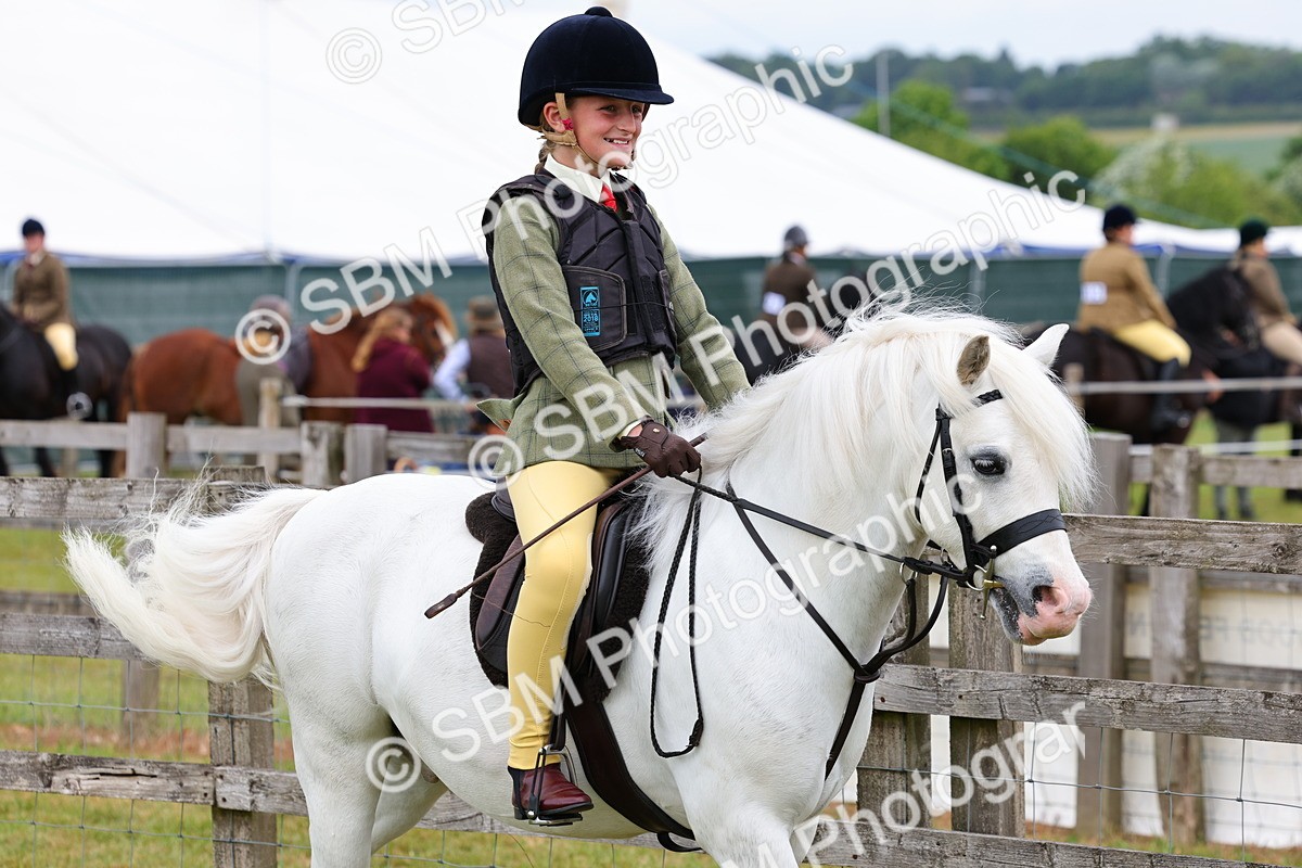 SBM_08443 - Class 42-43 - LIHS BSPS Heritage Working Sports Pony