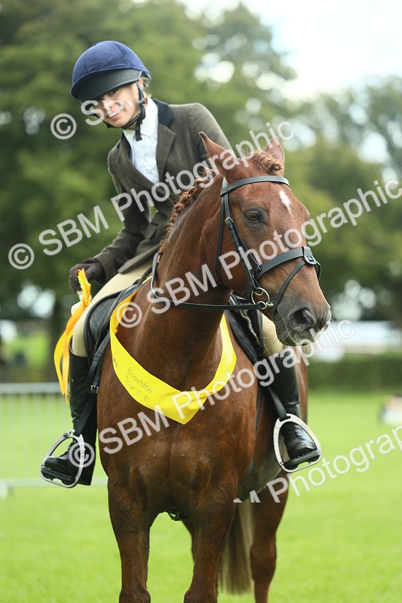SBM_42189 - S29 - Novice & Newcomers Working Hunter Pony