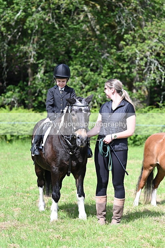 WJ7_0892 - Class 8 First Rally Pony