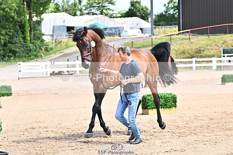 240718A-105247-01162 - Trot Up 12pm to 1pm