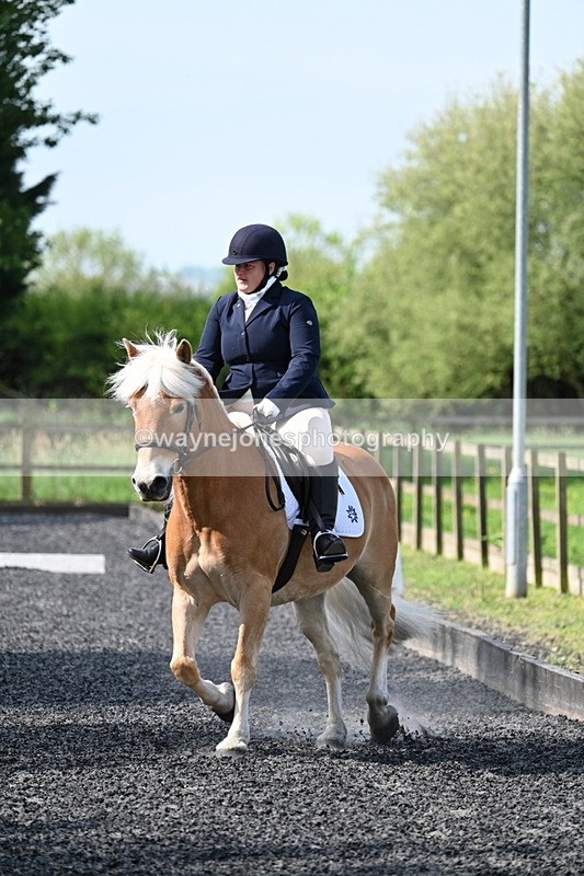 WJ7_7980 - Time 10:11 to 10:27