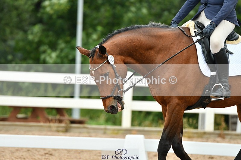 230708A-120704-01275 - Novice 23