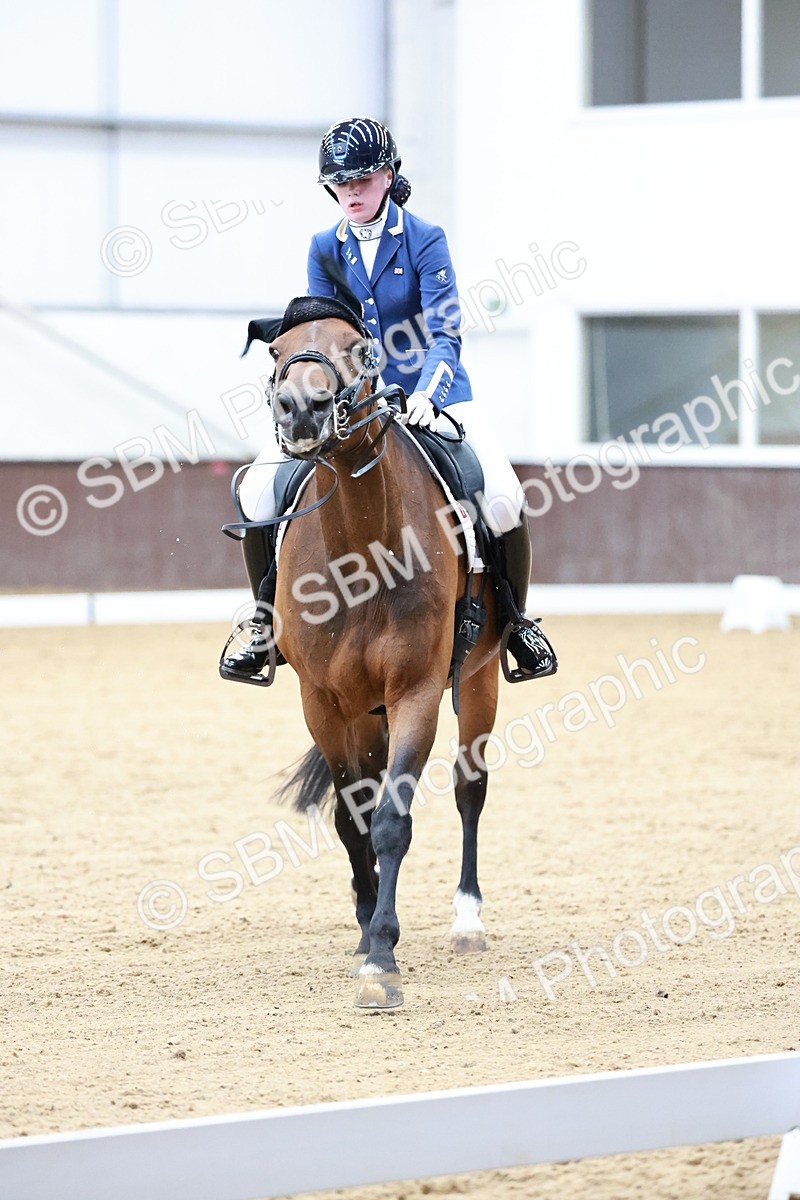 SBM_017901 - Class 15 - FEI Junior