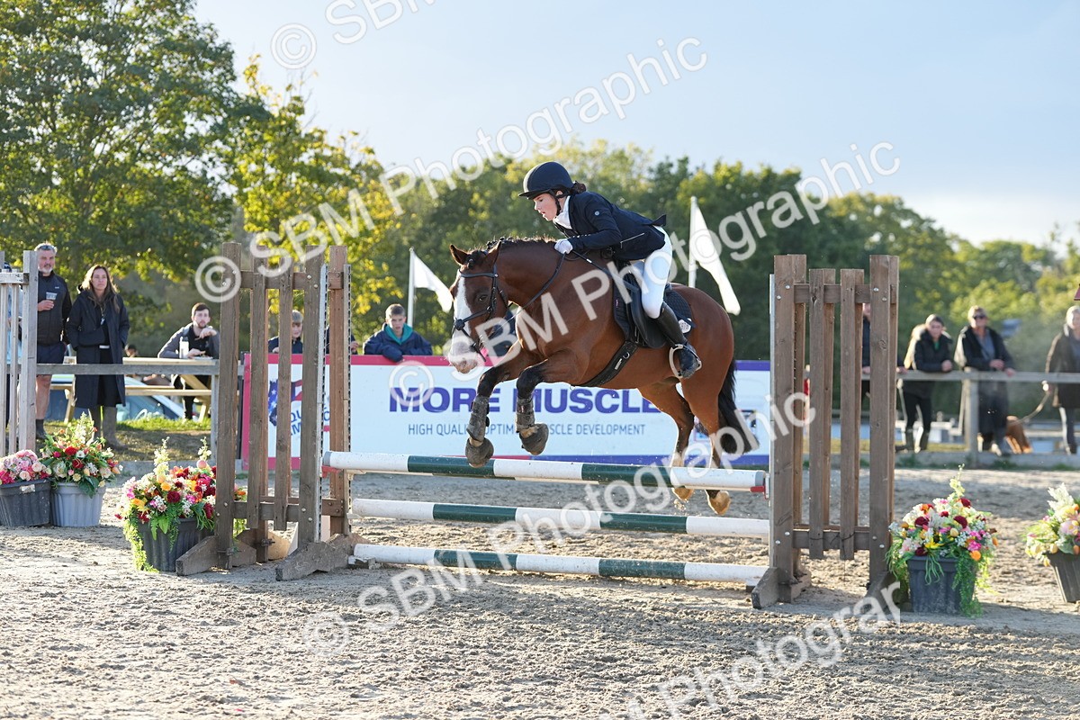 SBM_54113 - Supreme Championship 60cm 65cm