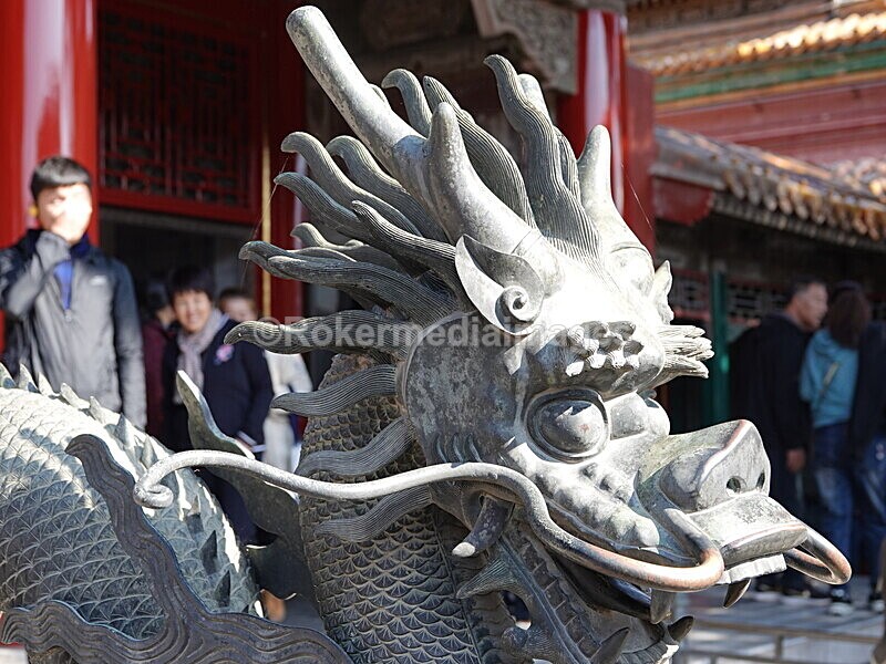 CHINA__1141 - China 2019