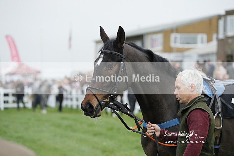 PtP 271122 190 - Hursley Hambledon Hunt Point-to-Point - Larkhill - 27/11/22
