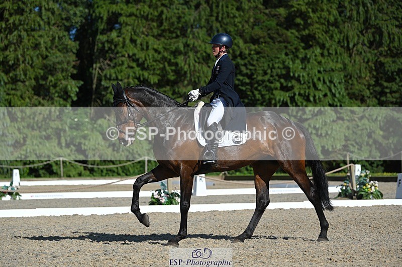 230526-171700-07556 - 262-TREAMBLE-Finn_Healy-WEDTrotUp+DR