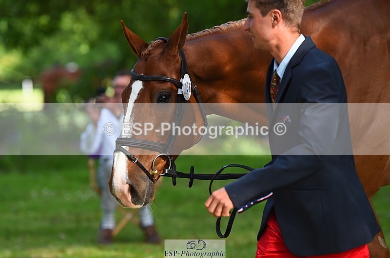 230524-170840-01308 - 156-JUST_PERFECT-Gaspard_Maksud-WEDTrotUp+DR