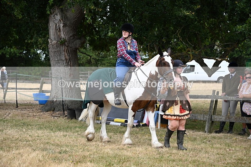 WJ6_4647 - Class 11 Fancy Dress